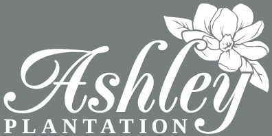 CUST-Ashley Plantation