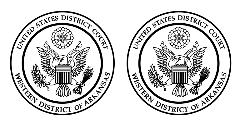 CUST- District Court Double Logo