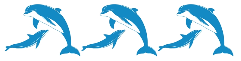 CUST-Dolphins