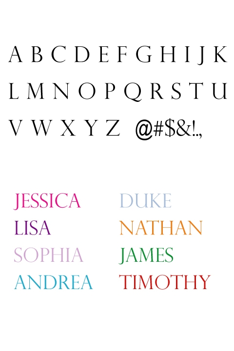 Name Text Wall Decals-PERPETUA
