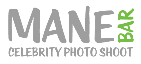 Mane Bar Logo