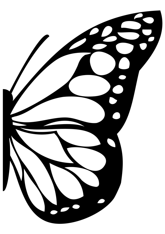 Butterfly Wing -Glass Decal