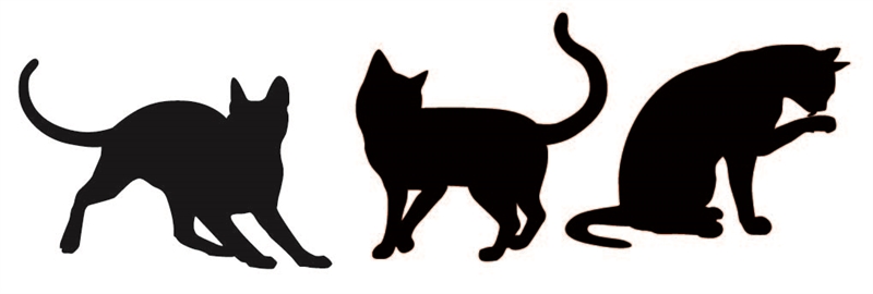 Cats-Wall Decals