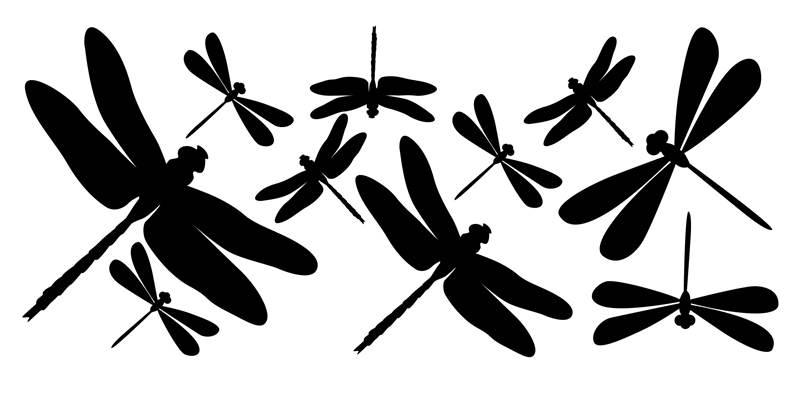Dragonfly Chrome-Reflective Decal