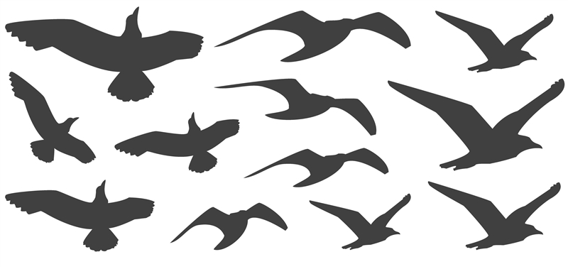 Flying Bird Silhouettes, 12 Wall & Window Decals