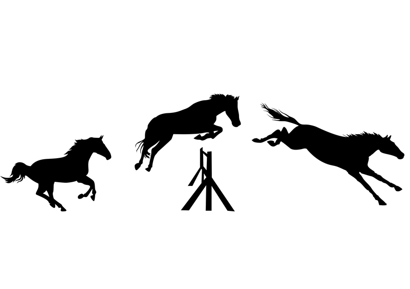 Jumping Horses-Wall Decals