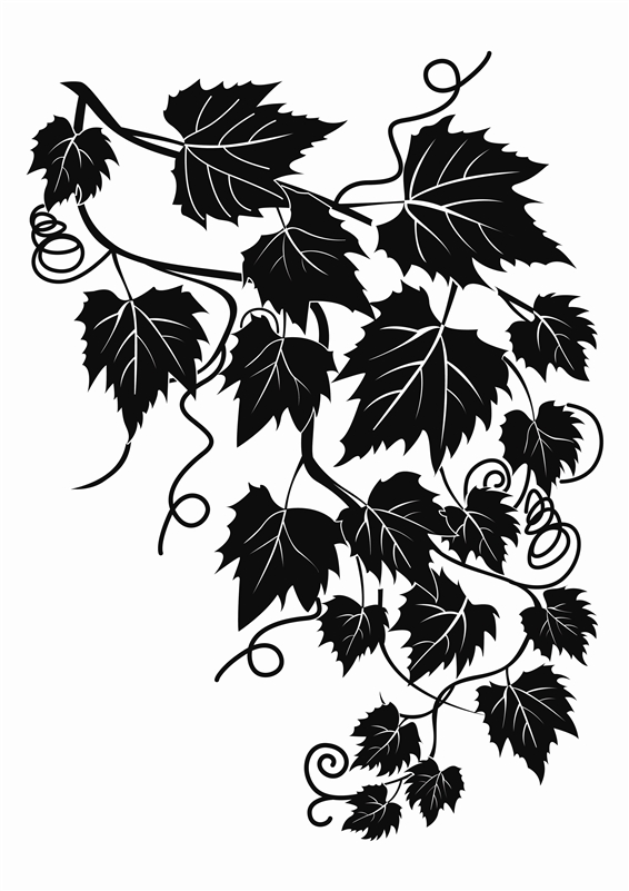 Ivy-Wall Decals