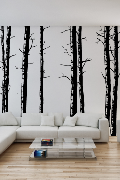 Birch Trees - Wall Decals